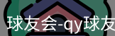 qy球友会